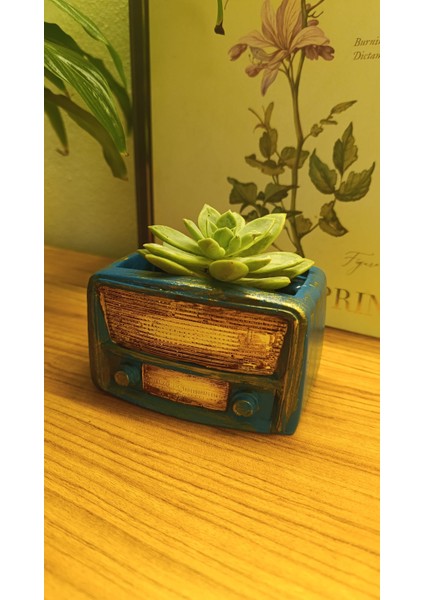 Retro Radyo Sukulent Saksısı ve Kalemlik - Masaüstü Dekoratif Organizer Mavi 12*8