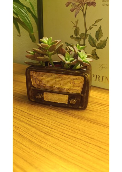 Retro Radyo Sukulent Saksısı ve Kalemlik - Masaüstü Dekoratif Organizer Kahverengi 12*8 indirimleri