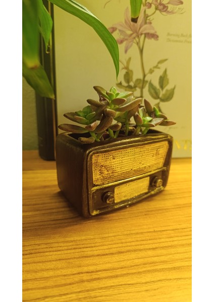 Retro Radyo Sukulent Saksısı ve Kalemlik - Masaüstü Dekoratif Organizer Kahverengi 12*8
