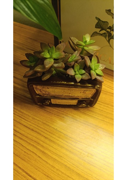 Retro Radyo Sukulent Saksısı ve Kalemlik - Masaüstü Dekoratif Organizer Kahverengi 12*8