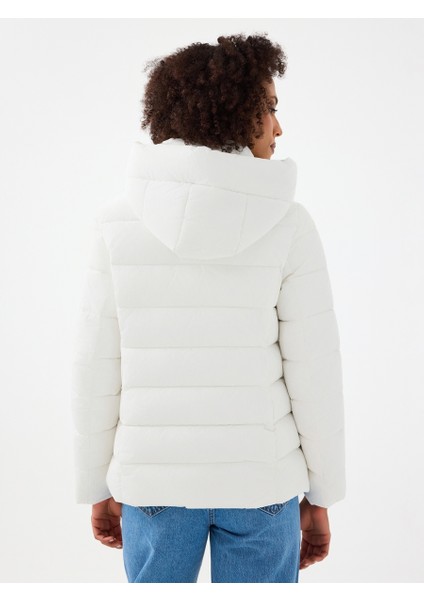 Slim Fit Kadın Mont modelleri