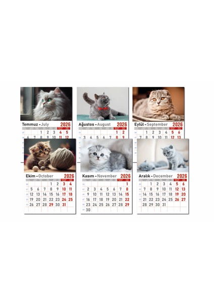 Takvim - Spiralli 12 Yaprak 32X47 cm - Atatürk Resimli Kuşe Kağıt Duvar TAKVIMI-2026 modelleri