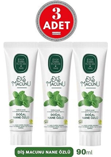 Nane Özlü Diş Macunu Gün Boyu Ferah Nefes İçin 90 ml x 3 fiyatları