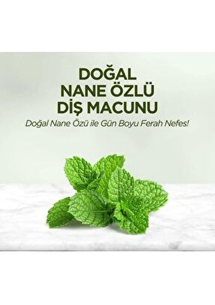 Nane Özlü Diş Macunu Gün Boyu Ferah Nefes İçin 90 ml x 3 fırsatları