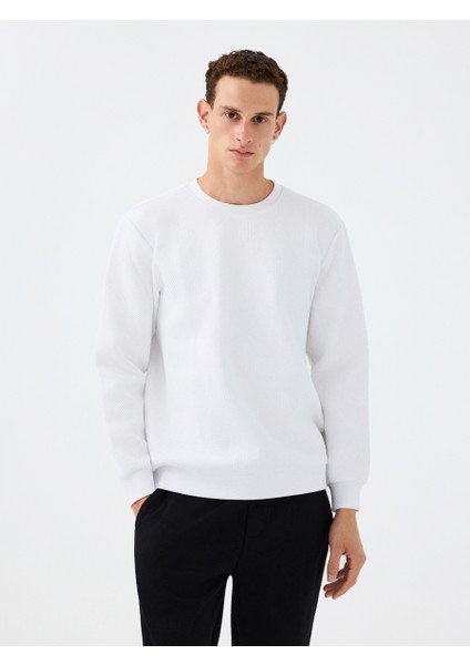 Regular Fit Erkek Sweatshirt