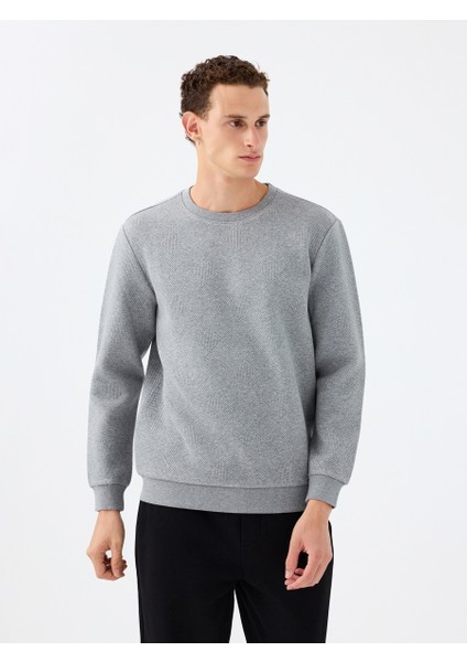 Regular Fit Erkek Sweatshirt