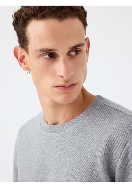 Regular Fit Erkek Sweatshirt fırsatları