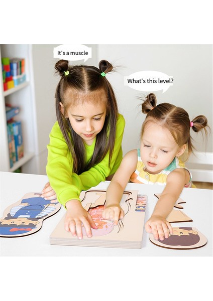 Ahşap Insan Vücudu Yapısı Bulmacası Çocuklar Için Çok Katmanlı Uçak Bulmacası Erken Çocukluk Eğitimi Oyuncakları, Erkek Çocuk (Yurt Dışından) modelleri