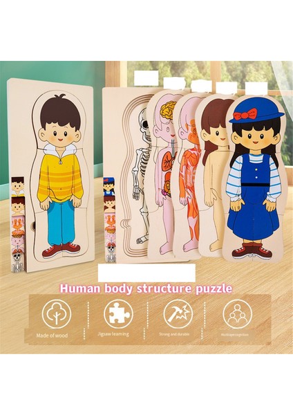 Ahşap Insan Vücudu Yapısı Bulmacası Çocuklar Için Çok Katmanlı Uçak Bulmacası Erken Çocukluk Eğitimi Oyuncakları, Erkek Çocuk (Yurt Dışından) indirimleri