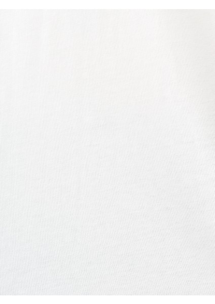 Regular Fit Erkek Tshirt K.kol