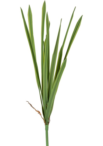 Yapay Orkide Yaprağı Yeşil 52 Cm.