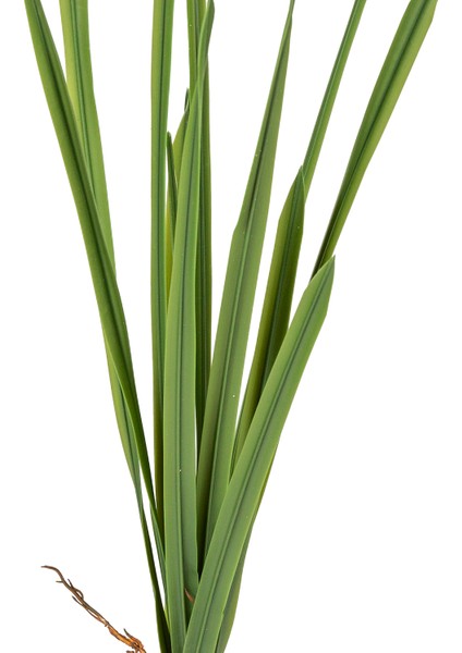 Yapay Orkide Yaprağı Yeşil 52 Cm. fiyatları