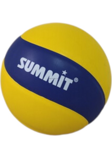 X340 VOLEYBOL ANTRENMAN TOPU fiyatları