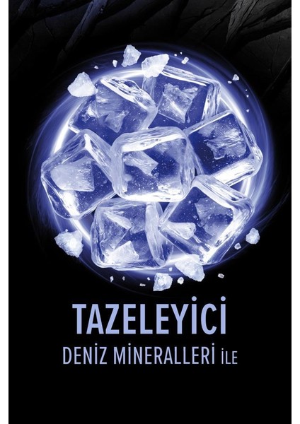 Men Duş Jeli 500ML Pure Arctic fiyatları