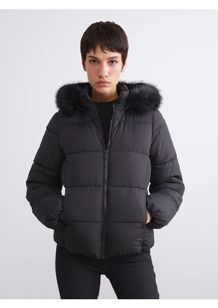 Lcw Vision Siyah Kadın Kapüşonlu Düz Şişme Mont