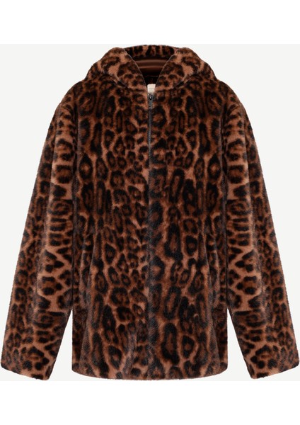 Regular Kapüşonlu Yaka Uzun Kol Mont