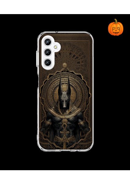 Samsung Galaxy A25 Uyumlu Şeffaf Kılıf Antik Mısır 1 Tasarımlı