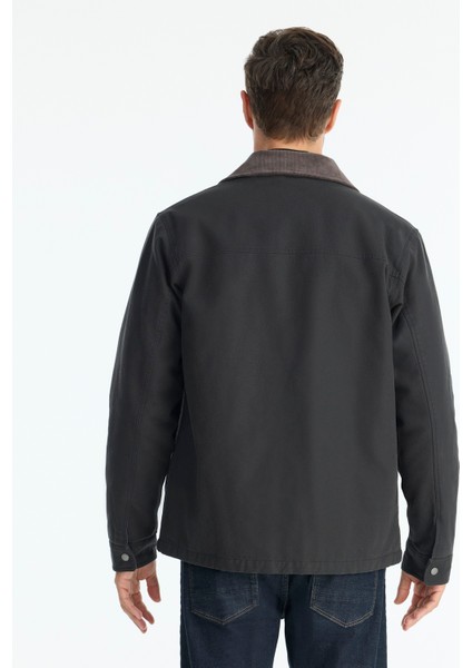 Regular Gömlek Yaka Uzun Kol Ceket