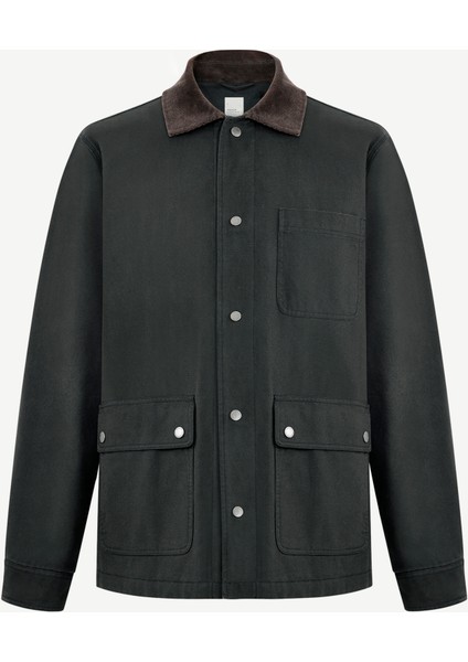 Regular Gömlek Yaka Uzun Kol Ceket