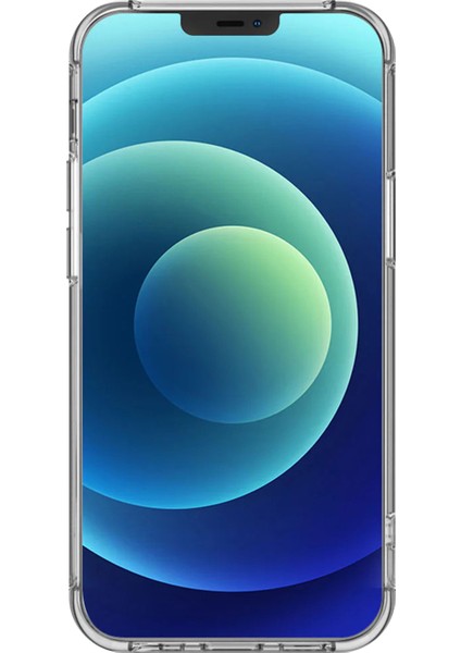 iPhone 12 Pro Max Uyumlu Şeffaf Kılıf Antik Mısır 1 Tasarımlı