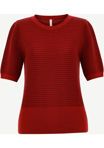 Regular Bisiklet Yaka Kısa Kol Kazak