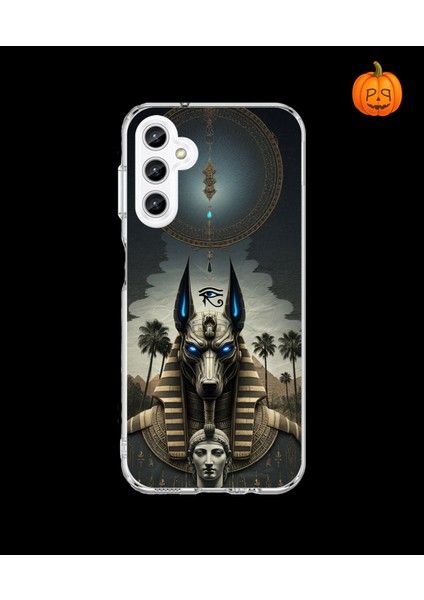 Samsung Galaxy A25 Uyumlu Şeffaf Kılıf Antik Mısır 5 Tasarımlı