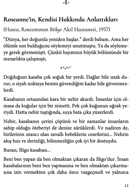 Gizli Defterler - Sebastian Barry fırsatları