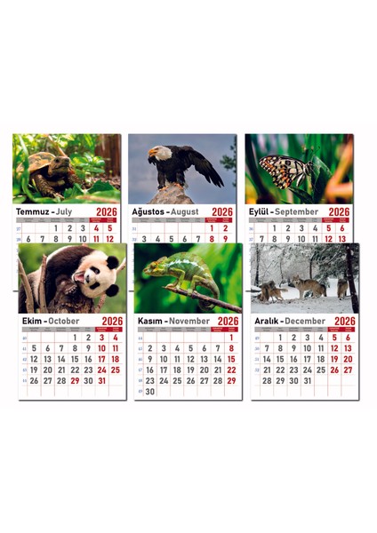 Takvim - Spiralli 12 Yaprak 32X47 cm - Manzara Resimli Kuşe Kağıt Duvar Takvimi - 2026 modelleri