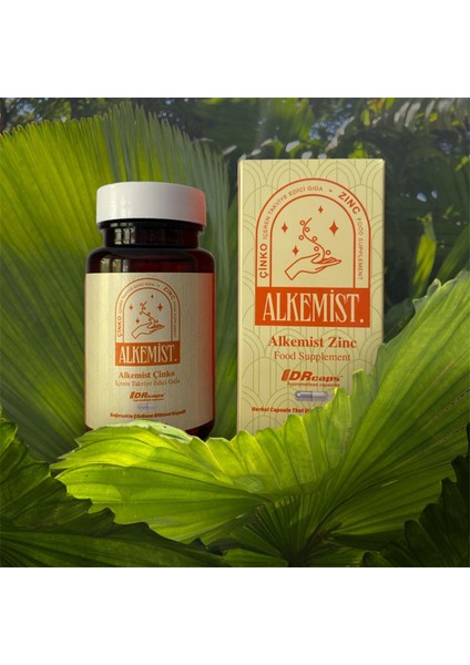 Çinko Içeren Takviye Edici Gıda 60 Kapsül fiyatları