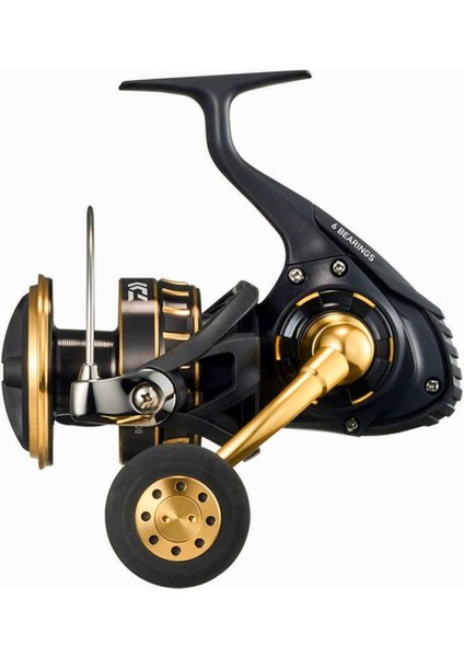 Daiwa Bg Sw 8000P
