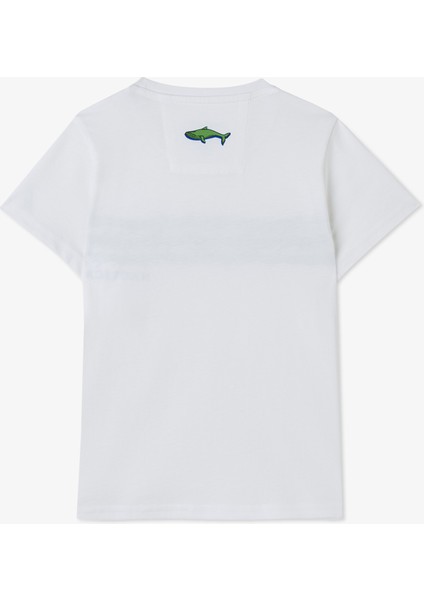 Erkek Çocuk Beyaz Regular Fit Baskılı T-Shirt fırsatları