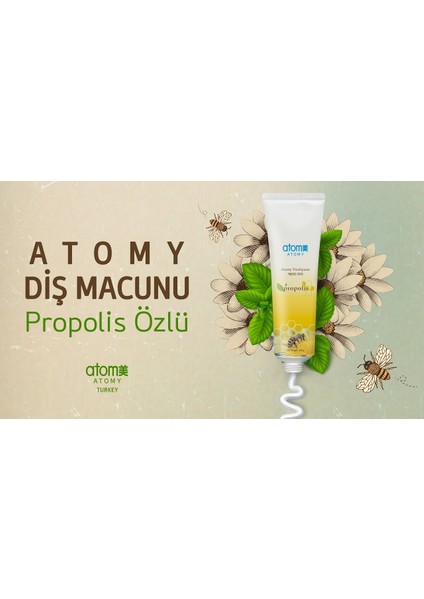Atomy Propolis ve Yeşil Çay Özlü Diş Macunu 200 gr 2 Li Paket fırsatları