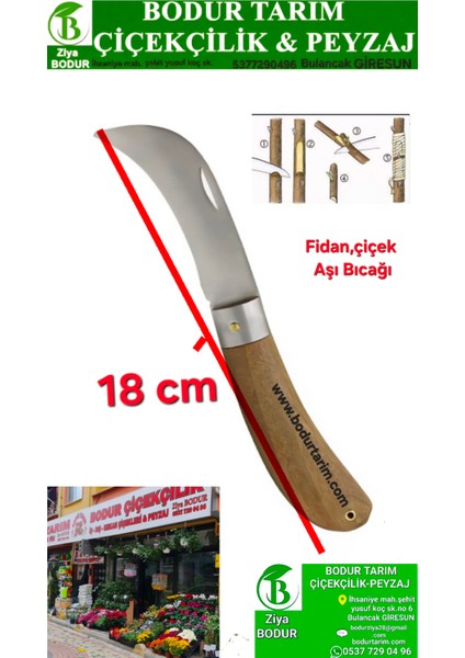 Bulancak Fidan ,çiçek ,çelik Aşı Bıçağı Paslanmaz Çelik