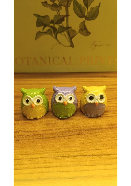 Üç Bilge Baykuş Seti-Renkli Dostlar Baykuş Seti-3’lü Dekoratif Mini Set- Yeşil - Lila - Sarı 4*4 fırsatları