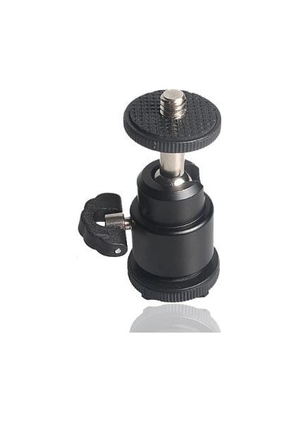 BH56 Mini Top Kafa Bal Head