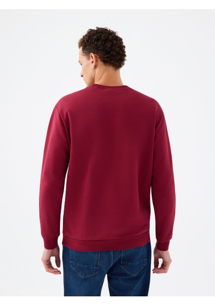 Regular Fit Erkek Sweatshirt modelleri