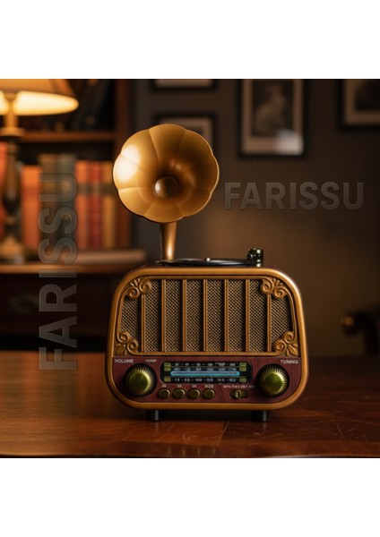 Retro Gramofon Görünümlü Bluetooth\'lu Fm/am/sw 3 Bant Radyo ve Müzik Çalar (Everton RT-738)