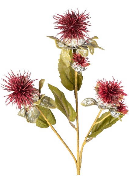 Yapay Bitki Dikenli Bordo 56 Cm. fiyatları