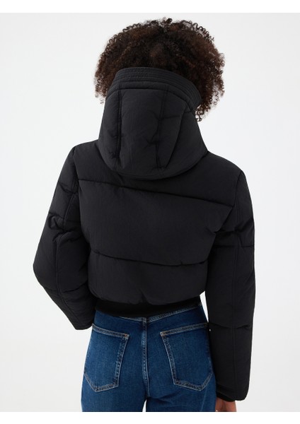 Crop Kadın Mont modelleri