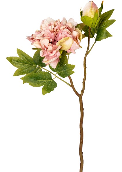 Yapay Şakayık Soft Pembe 50 Cm.