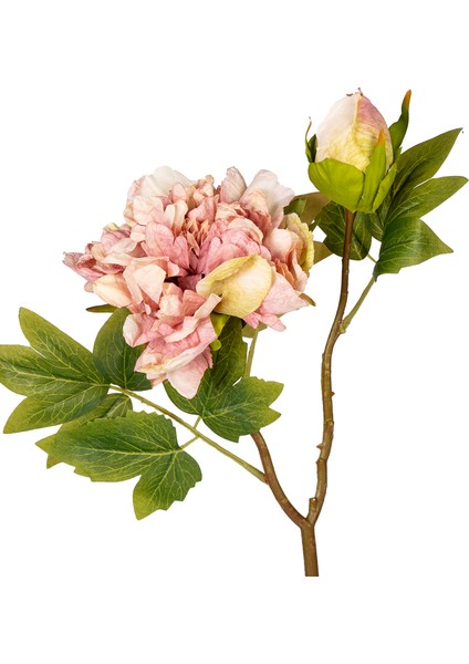 Yapay Şakayık Soft Pembe 50 Cm. fiyatları