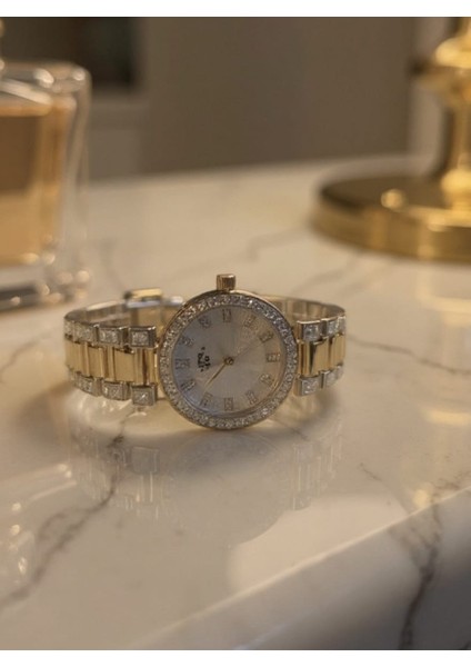 Çelik Kordonlu Gümüş Rengi Zirkon Taşlı Kadın Saati