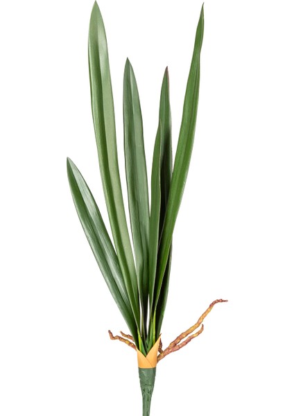 Yapay Orkide Yaprağı Yeşil 56 Cm.