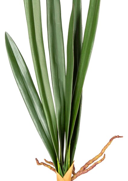 Yapay Orkide Yaprağı Yeşil 56 Cm. fiyatları