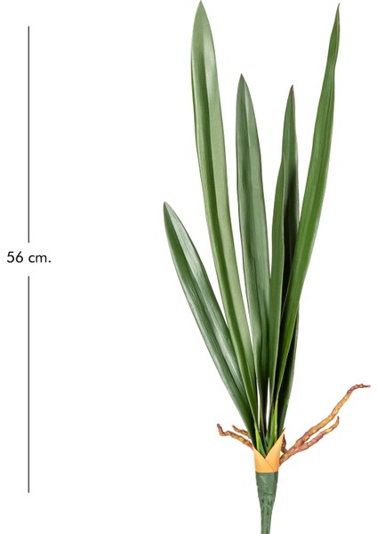 Yapay Orkide Yaprağı Yeşil 56 Cm. modelleri