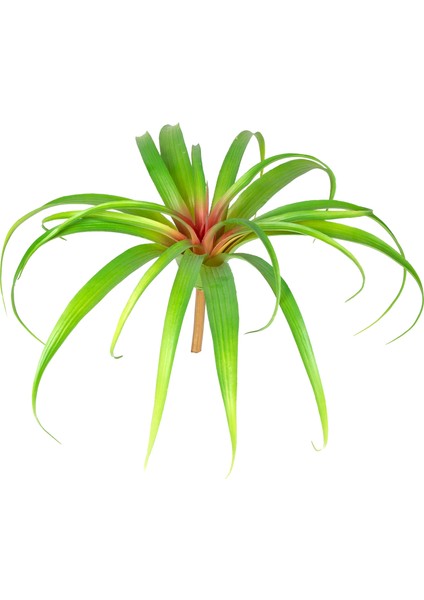 Yapay Bitki Kızıl-Yeşil 24 Cm.