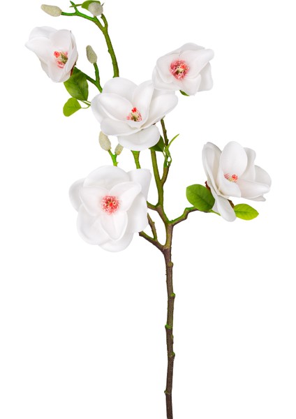 Yapay Manolya Dalı Beyaz 75 Cm.