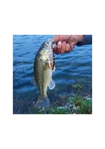 3 Adet 8 Eklemli 3D Oynak Rapala Sahte Balık Yem Seti Tatlı ve Tuzlu Su Uyumlu Wobblers Swimbait fiyatları