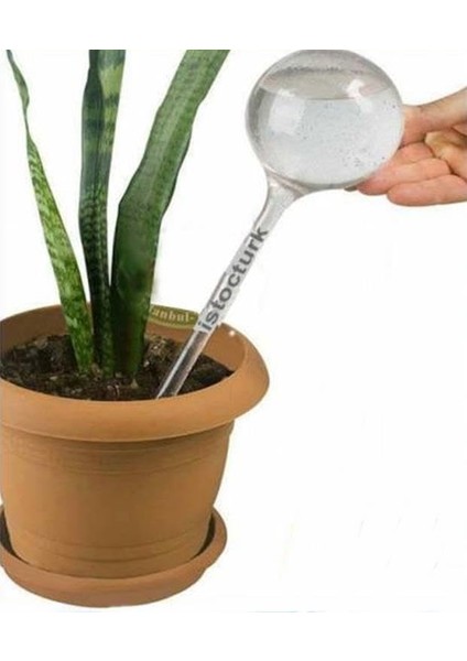 Koruyan 1 Adet Saksı Suluğu Çiçeklerin Ömrünü Uzatan Otomatik Çiçek Sulama Sistemi
