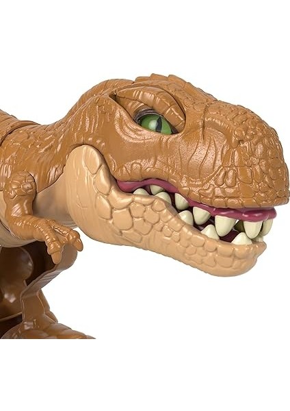 Price Imaginext Jurassic World T-Rex Aksiyonu, 3 - 8y, HFC04 fırsatları